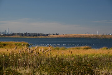 Autumn on Jamaica Bay