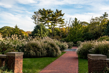 Autumn on Golden Coast