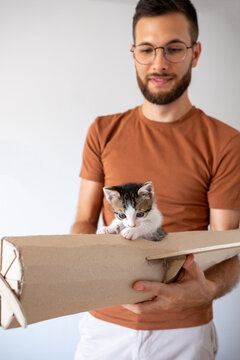 Young male model playing with the kitten in handmade toy airoplane.