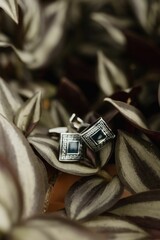 Elegant pair of metal cufflinks resting atop a bed of green foliage