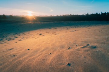 Tranquil sandy beach illuminated by the warm, soft light of the rising sun