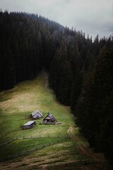 Picturesque rural scene of old farmhouses in the Carpathian Mountains of Ukraine