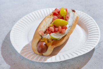A view of a Chicago hot dog.