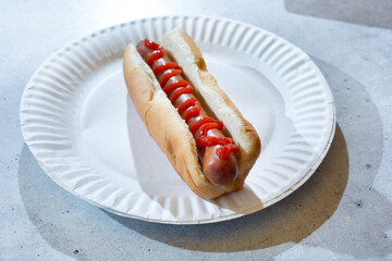 A view of a hot dog with ketchup on a paper plate.