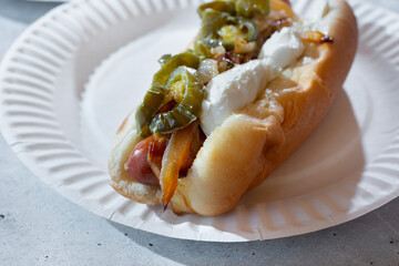A view of a Seattle hot dog.