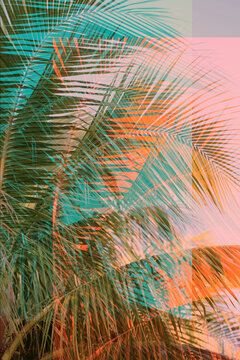 Modern Abstract Palm Tree Design In Vibrant Colors