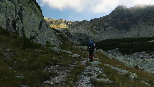 Back shot of a Caucasian backpacker man hiking Biosphere Reserve, Romania