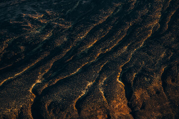Textured Green Mossy Pattern of Volcanic Mountain
