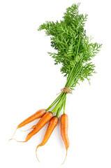 Harvest Carrots with Green Leaves. Carrot vegetable in a bunch