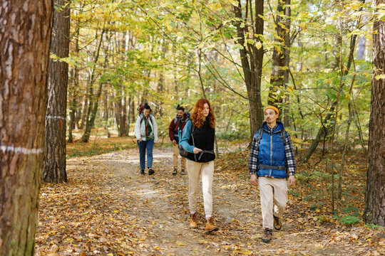 Tourists walking path fall woodland