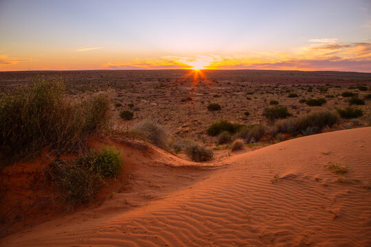 Sunset over sand dunes and arid vegetation in the Simpson Desert in Australia