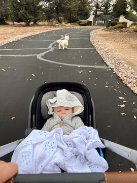 Bundled Baby in a Stroller