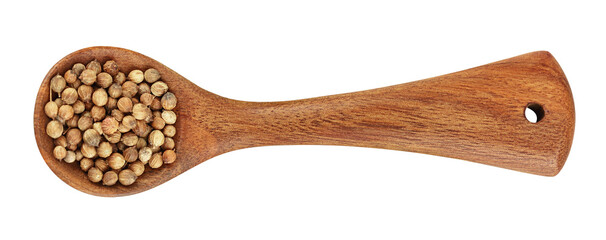 Dried coriander seeds in the wooden spoon isolated on white background. Top view. Flat lay