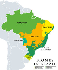 Biomes in Brazil, map of 6 ecosystems with natural vegetation. Amazonia (rainforest), Caatinga (scrub), Cerrado (savanna), Mata Atlantica (Atlantic Forest), Pampa (grassland), and Pantanal (wetland).