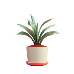 Isolated plant in a flowerpot