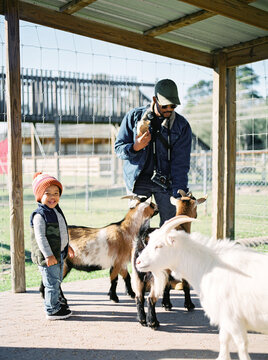 A father with his toddler son at a petting zoo