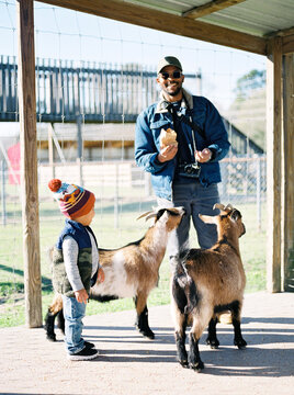 A father with his toddler son at a petting zoo