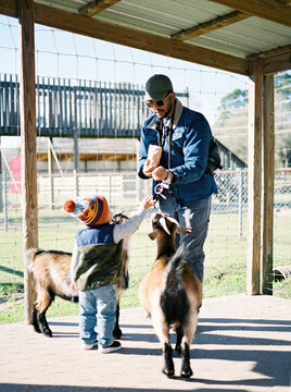 A father with his toddler son at a petting zoo