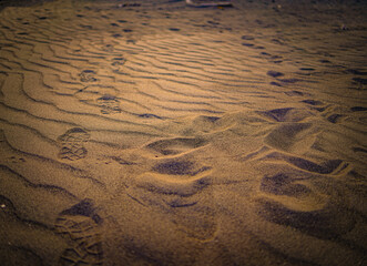 Footprint on the beach