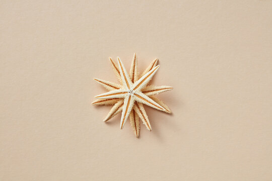 Natural starfish stacked one on top of the other.