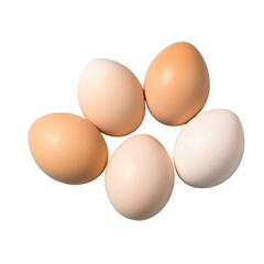 chicken eggs on transparent background