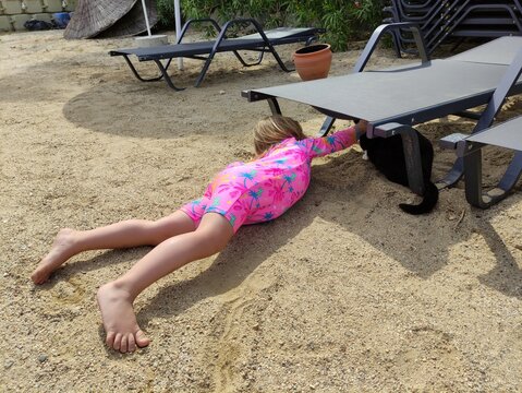 inquisitive child catching cat, pov
