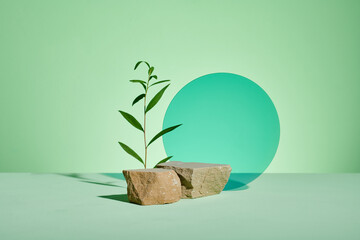  Fresh tea tree branches stand near natural beige stone two form