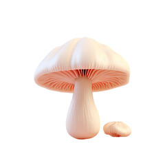 transparent background with champignon mushroom