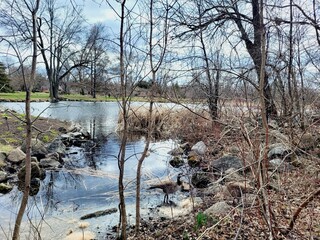 river in winter