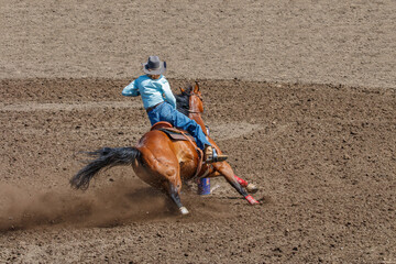 Cowgirl riding in a barrel racing completion at a rodeo. She is wearing blue shirt and blue jeans...