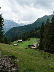 Fototapeta na wymiar Alpine Village in switzerland with view at Jungfrau region Top of Europe