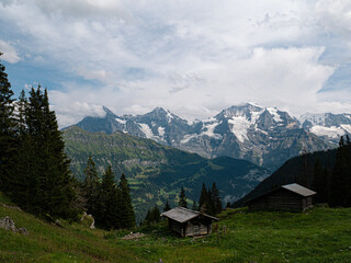 Fototapeta na wymiar Alpine wooden cabins for cheese making with a stunning view at Eiger North face, Mönch and Jungfrau in switzerland Berner Oberland