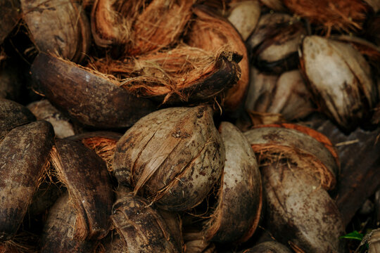 Pile of coconut shells