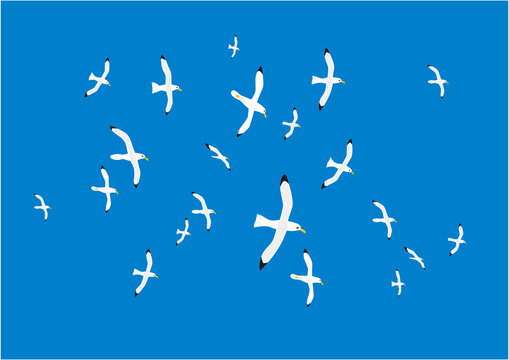 青空の中を気持ちよく群れで飛ぶカモメのイラストその2