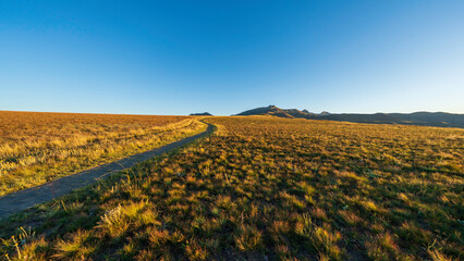 Path leading to a bird hide, Golden Gate Highlands National Park, Free State, South Africa
