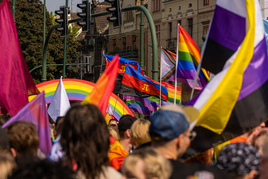 Pride parade with lots of people and LGBTQ flags