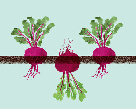 Conceptual illustration of Radish Growing in Opposite Direction