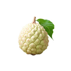 Fototapeta premium Custard apple transparent background