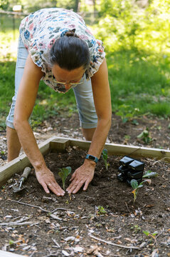 Woman working in her backyard vegetable garden
