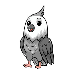 Cute whiteface cockatiel bird cartoon