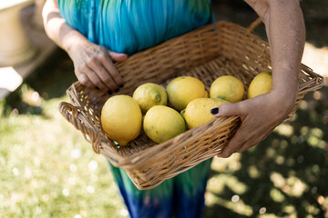 Basket with lemons.
