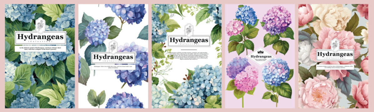 Set of Elegant Hydrangeas, Realistic Vector Illustrations of Flowers, Leaves, and Plants for Backgrounds, Patterns, and Wedding Invitations.