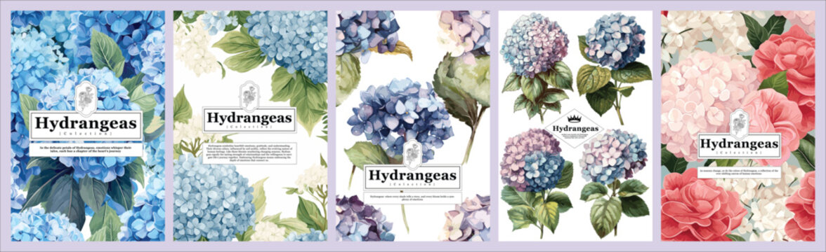 Set of Elegant Hydrangeas, Realistic Vector Illustrations of Flowers, Leaves, and Plants for Backgrounds, Patterns, and Wedding Invitations.