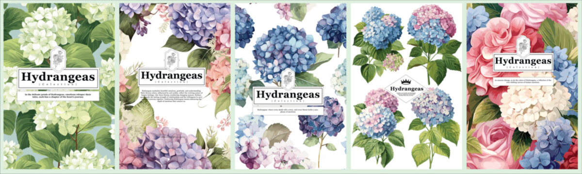 Set of Elegant Hydrangeas, Realistic Vector Illustrations of Flowers, Leaves, and Plants for Backgrounds, Patterns, and Wedding Invitations.