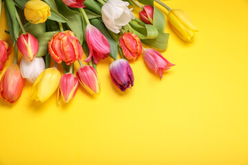 Beautiful colorful tulip flowers on yellow background, flat lay. Space for text