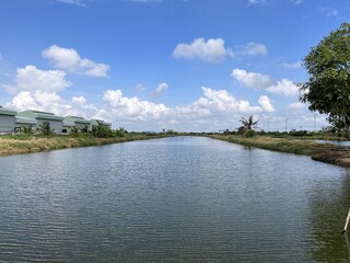 Obraz premium beautiful view of the lake in the park