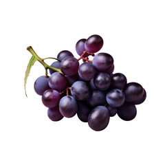 Fototapeta premium Black grape on a transparent background alone
