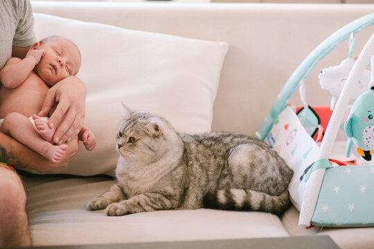 Cat and Baby's First Encounter: Dad Introduces Newborn,