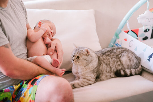 Cat and Baby's First Encounter: Dad Introduces Newborn,