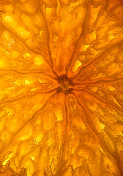 Tangerine closeup of abstract patterns radiating in a slice